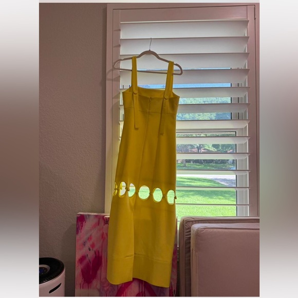 Alexis Costal midi dress - Picture 2 of 4